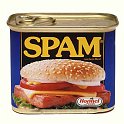 1559606_340_1116081430036-spam